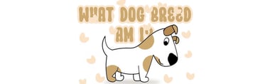 What Dog Breed Am I? 