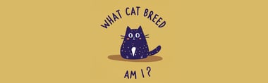 What Cat Breed Am I?